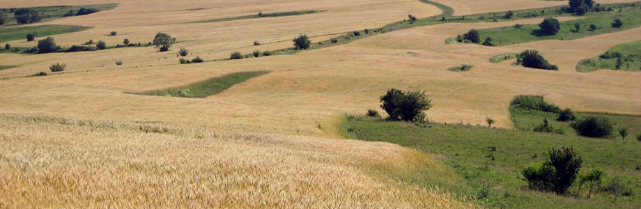 Getreide-Harbachtal