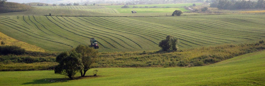 Ro-Landwirtschaft Ro-Landwirtschaft