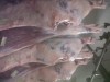 IMG00046-20120210-1131